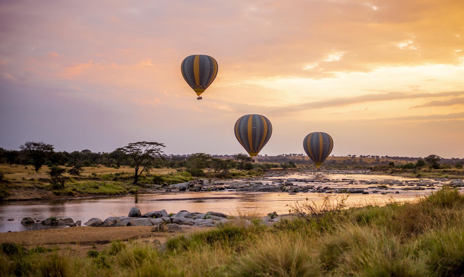 Best Time to Visit Maasai Mara: A Month-by-Month Wildlife Guide