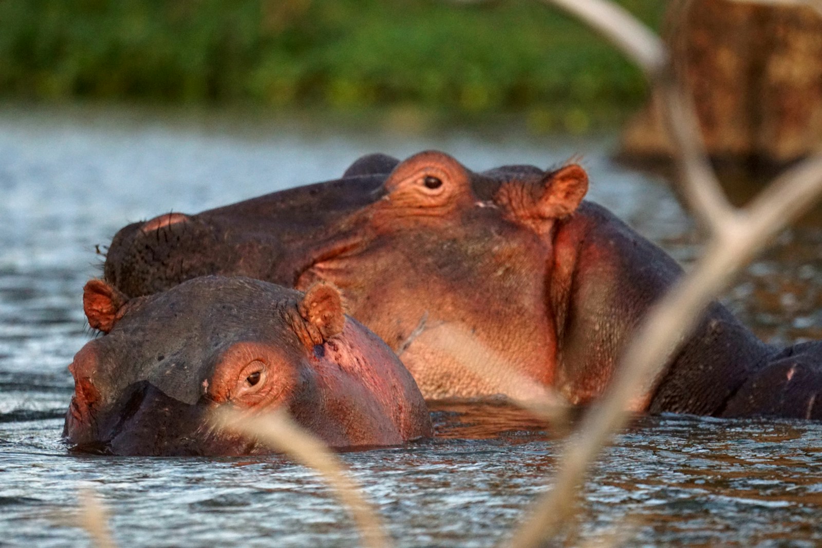 Lake Naivasha & Hell's Gate — Kenya safari destination