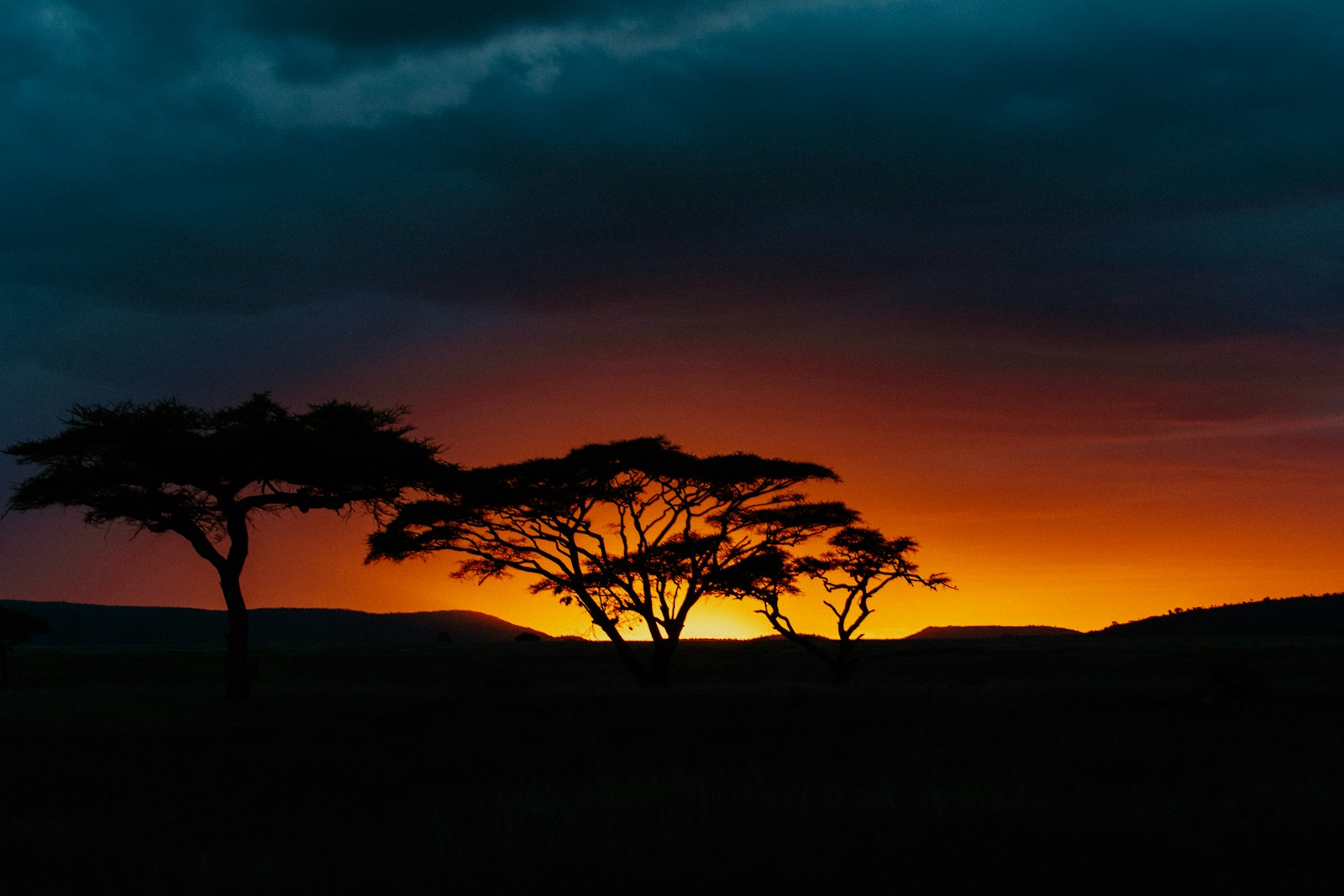 12-Day Kenya & Tanzania Safari — 12-day Kenya safari package