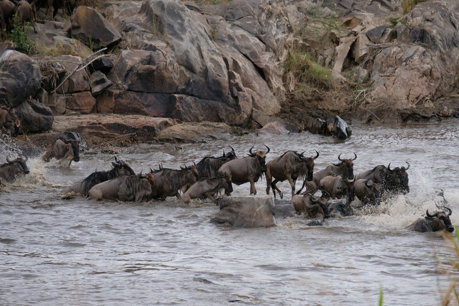 5-Day Great Migration Safari — 5-day Kenya safari package